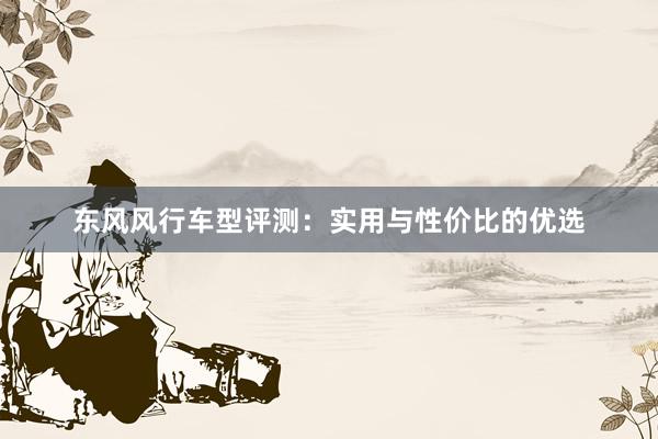 东风风行车型评测：实用与性价比的优选